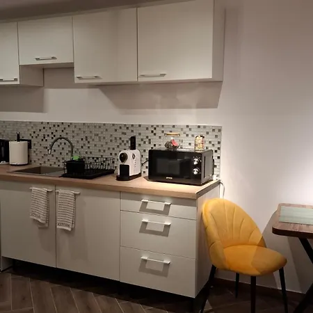 Jupiter Lägenhet Timişoara